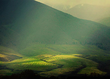 无内存泄漏的短信网页在线轰炸